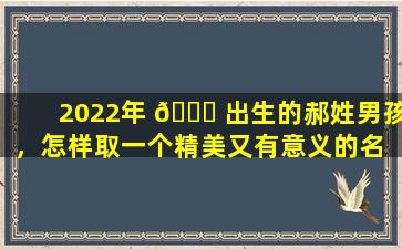 2022年 🕊 出生的郝姓男孩，怎样取一个精美又有意义的名 🐺 字